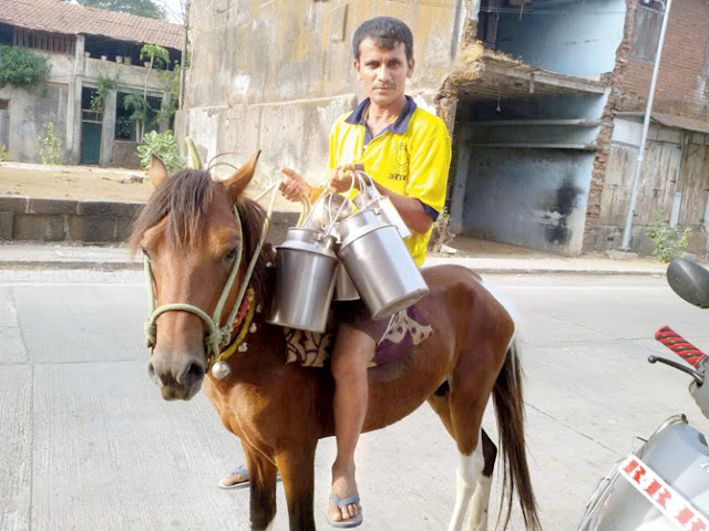 Increase in fuel prices: Maharashtra sells milk bikes, now roams on horseback