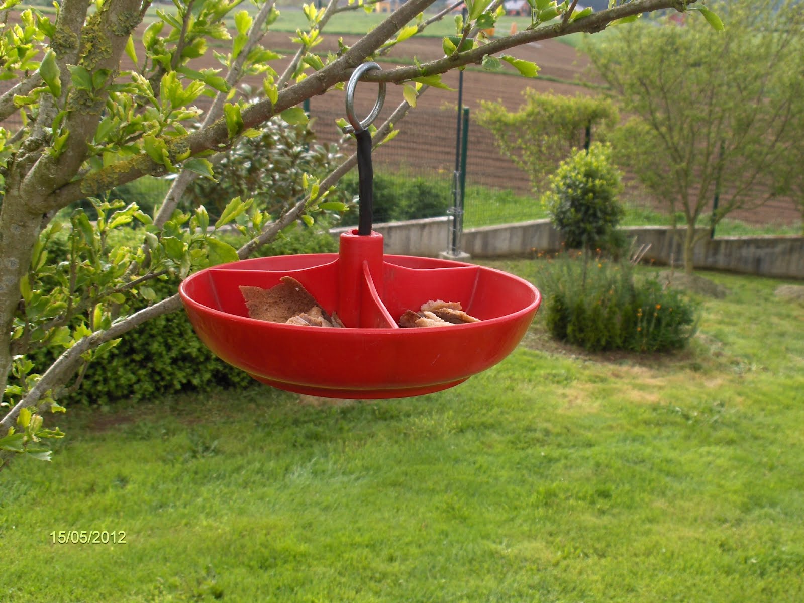 Aprendiz: comedero para pájaros