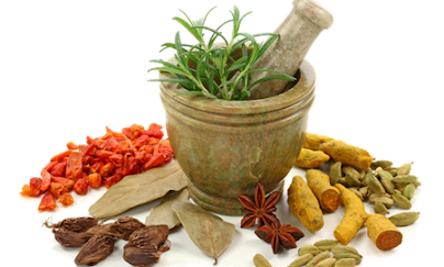 Why More Humans Are Selecting Ayurveda Medicines