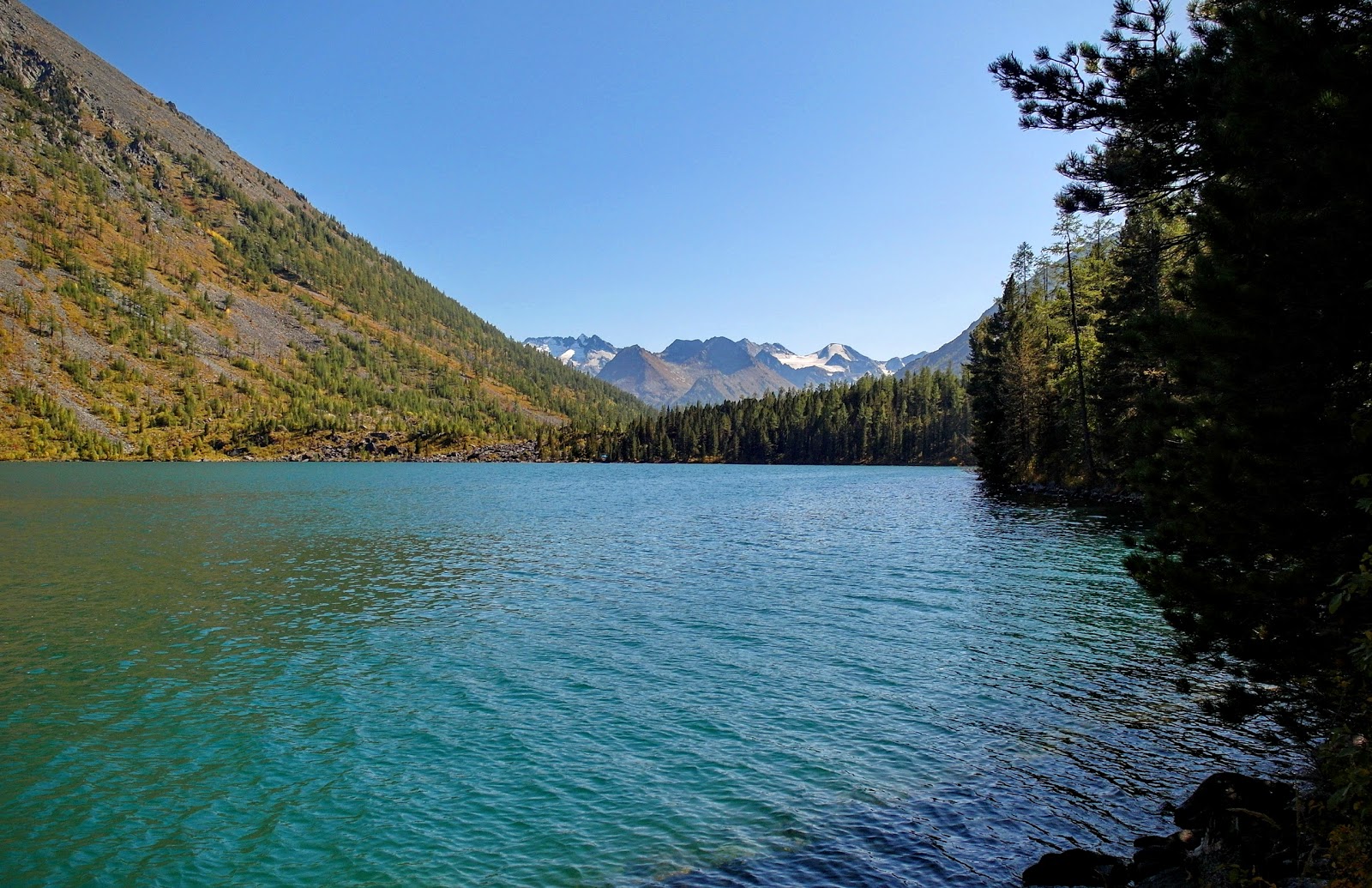 река шавла горный алтай. смолокурка шадринск. гейзеровое озеро горный алтай осенью. озеро солдатское зеленодольский район. озеро зеленец себежский район псковская область.