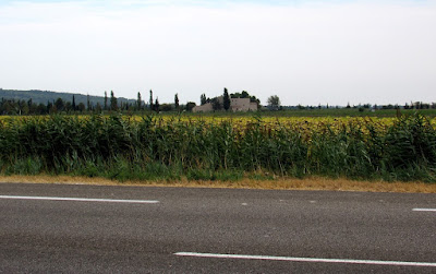 Girasoles en Arlés