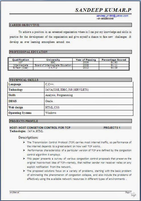 classic cv template