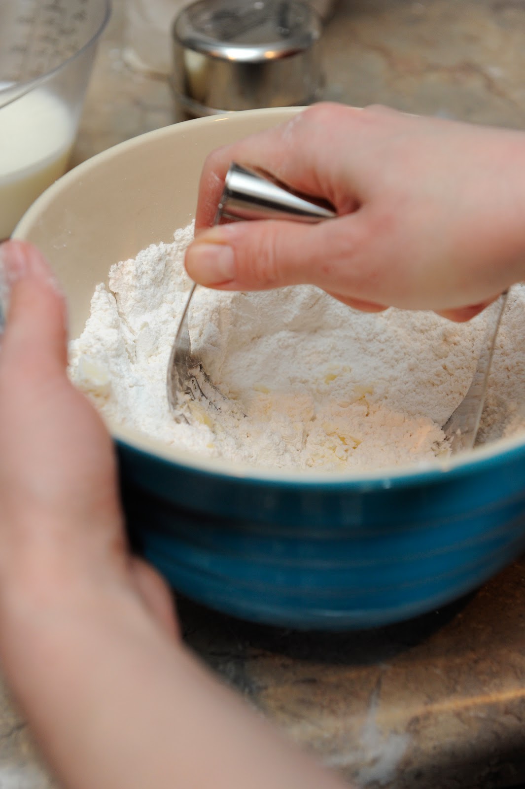 SavetheBiscuit ! A Buttermilk Biscuit Tutorial