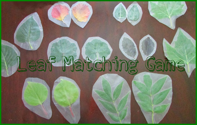 Nature Hunt~ Leaf Matching Game - Teach Beside Me