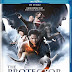 The Protector 2 2013 Dual Audio BRRip 480p 300mb