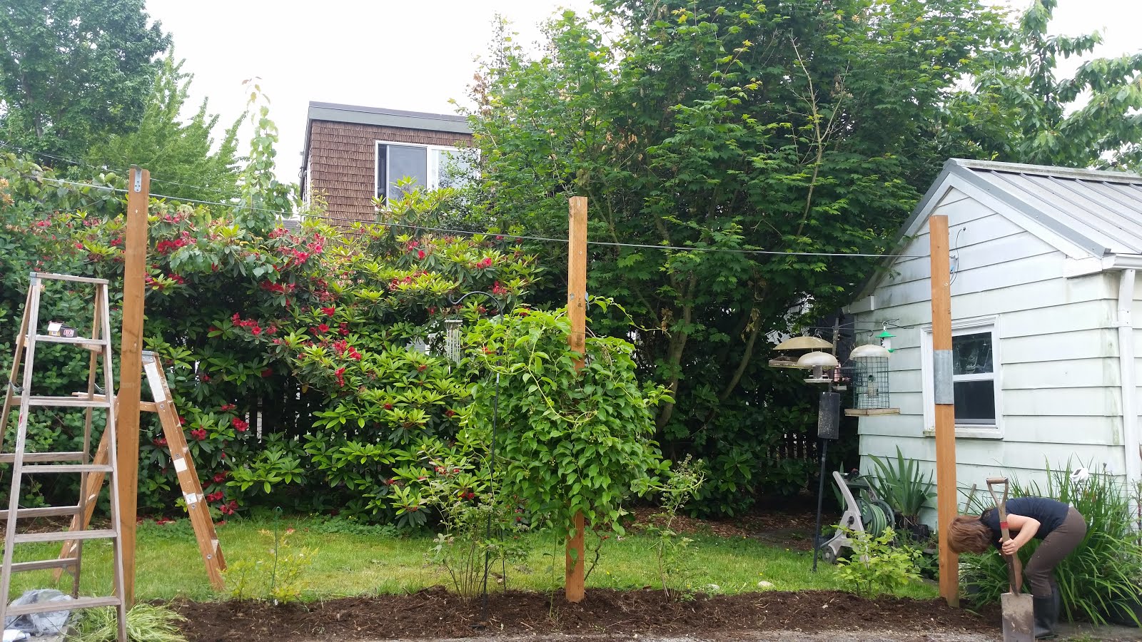 My Summer Vacation Trellis Building 101