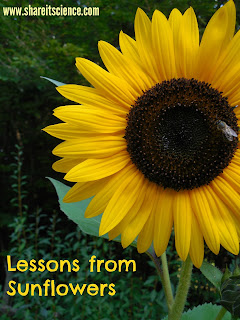 http://www.shareitscience.com/2015/09/glimpse-of-garden-week-24-lessons-from.html