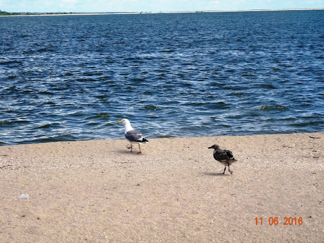 Ейск остров семи ветров