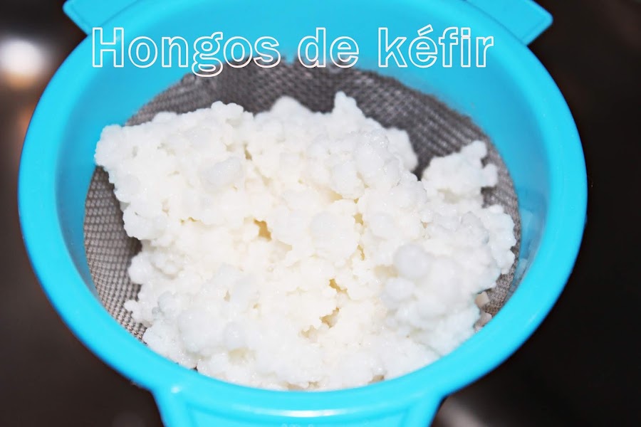 CÓMO ELABORO KÉFIR CASERO DE LECHE {PASO A PASO}