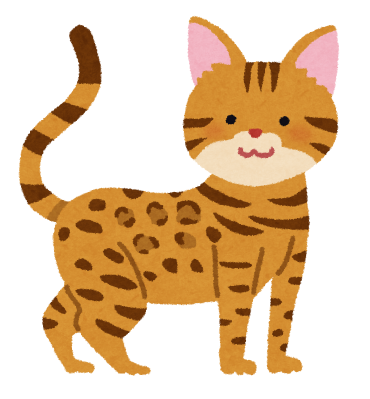 ベンガルのイラスト 猫 かわいいフリー素材集 いらすとや