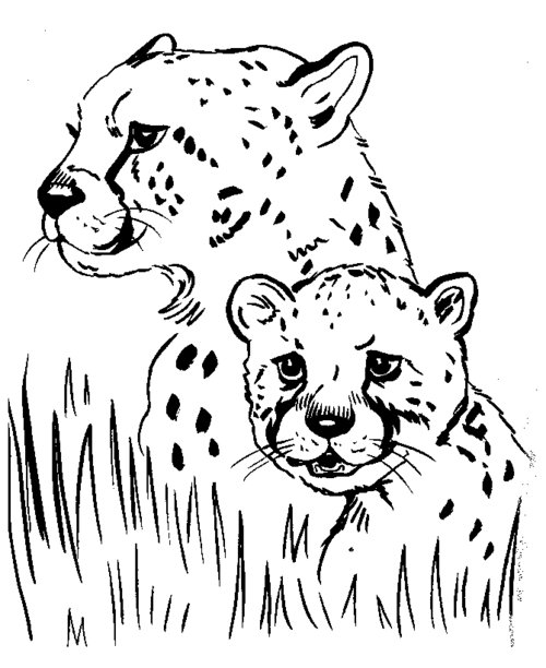 Free Animal Coloring Pages >> Disney Coloring Pages