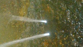 BOCOR:  Apa bahasa Inggrisnya