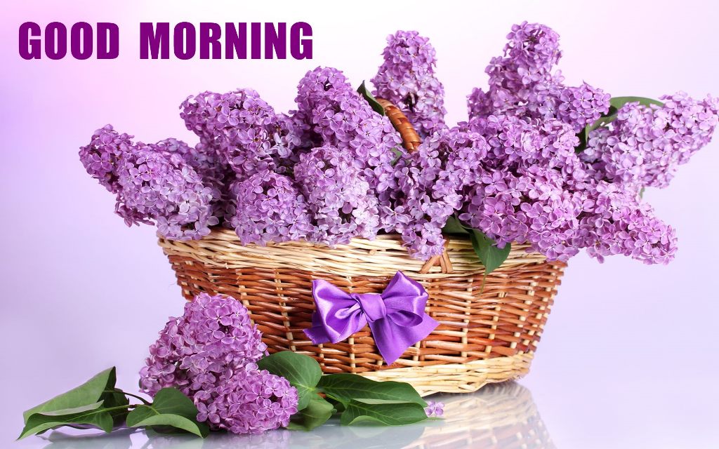 Good Morning Quotes With Flowers For Whatsapp and Facebook.