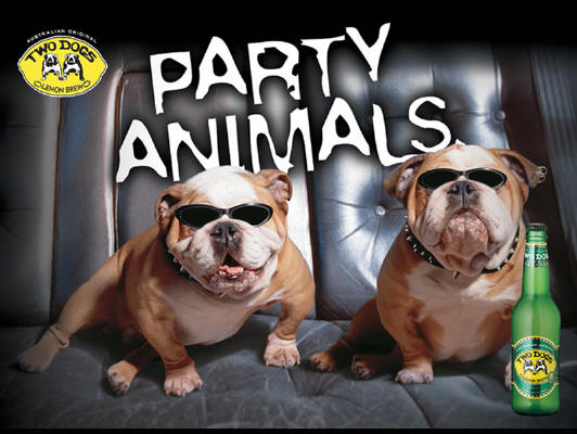 Animals Party | Photos 2012 | Funny And Cute Animals