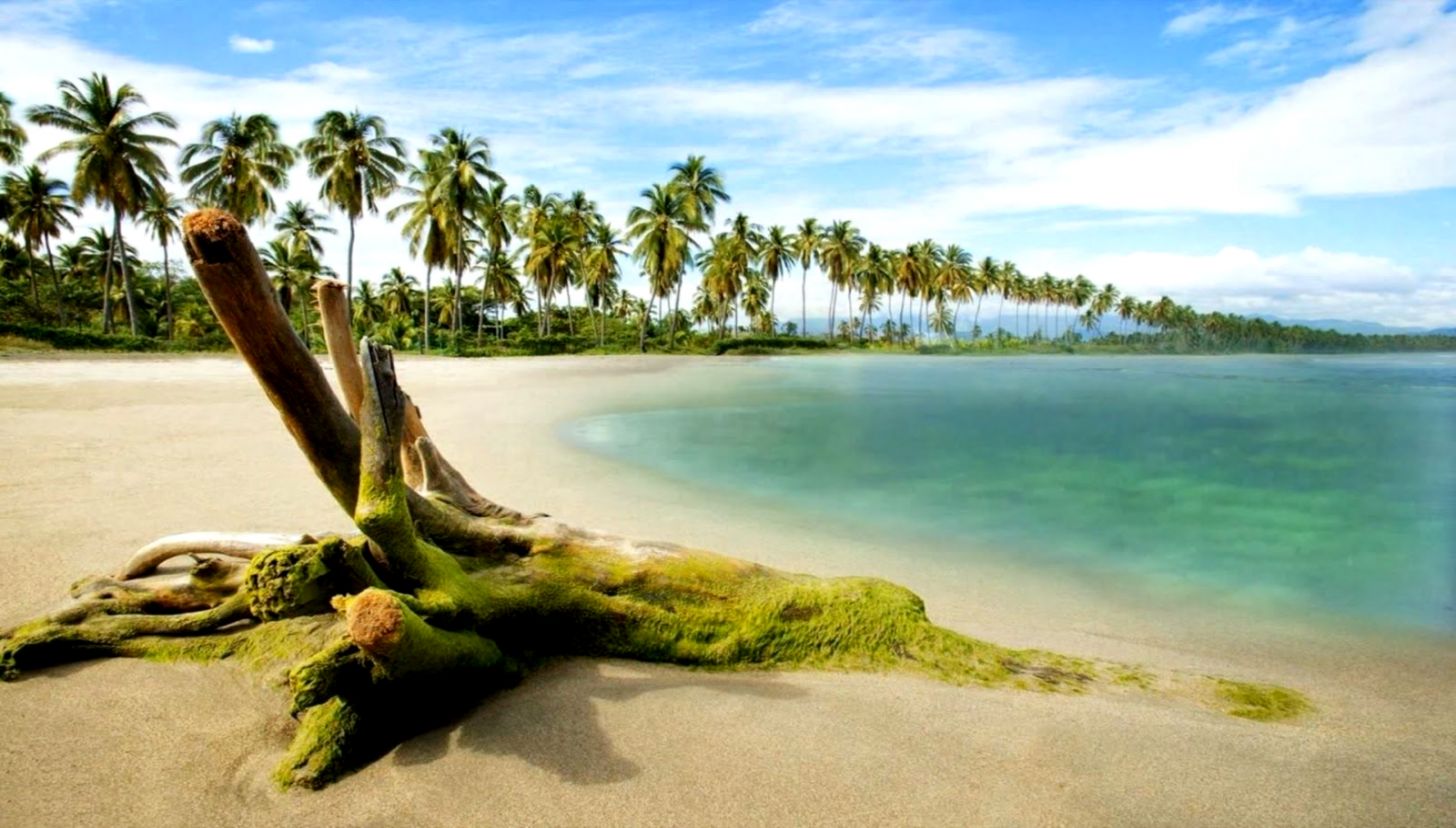 hd 1080p desktop wallpaper widescreen wallpapers every day widescreen backgrounds