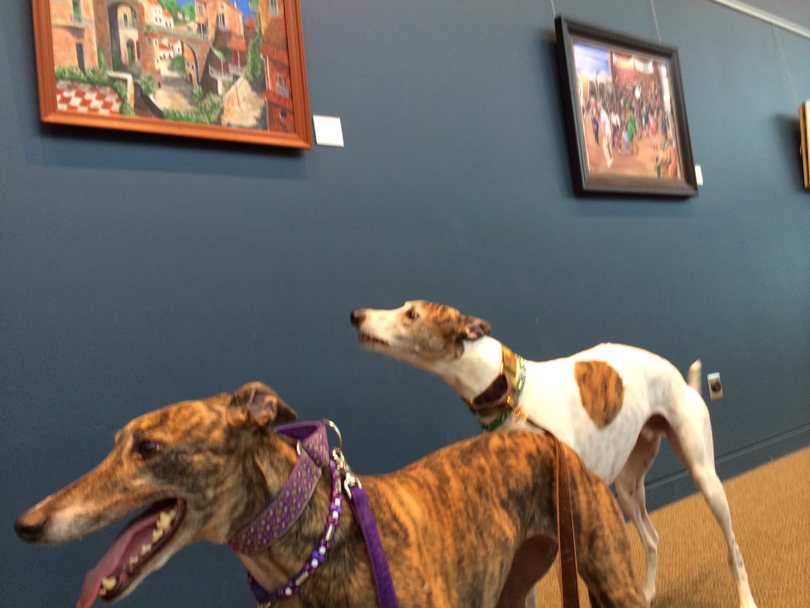 Pawstcards from Hampton Roads World of Pets Expo, Hampton, VA