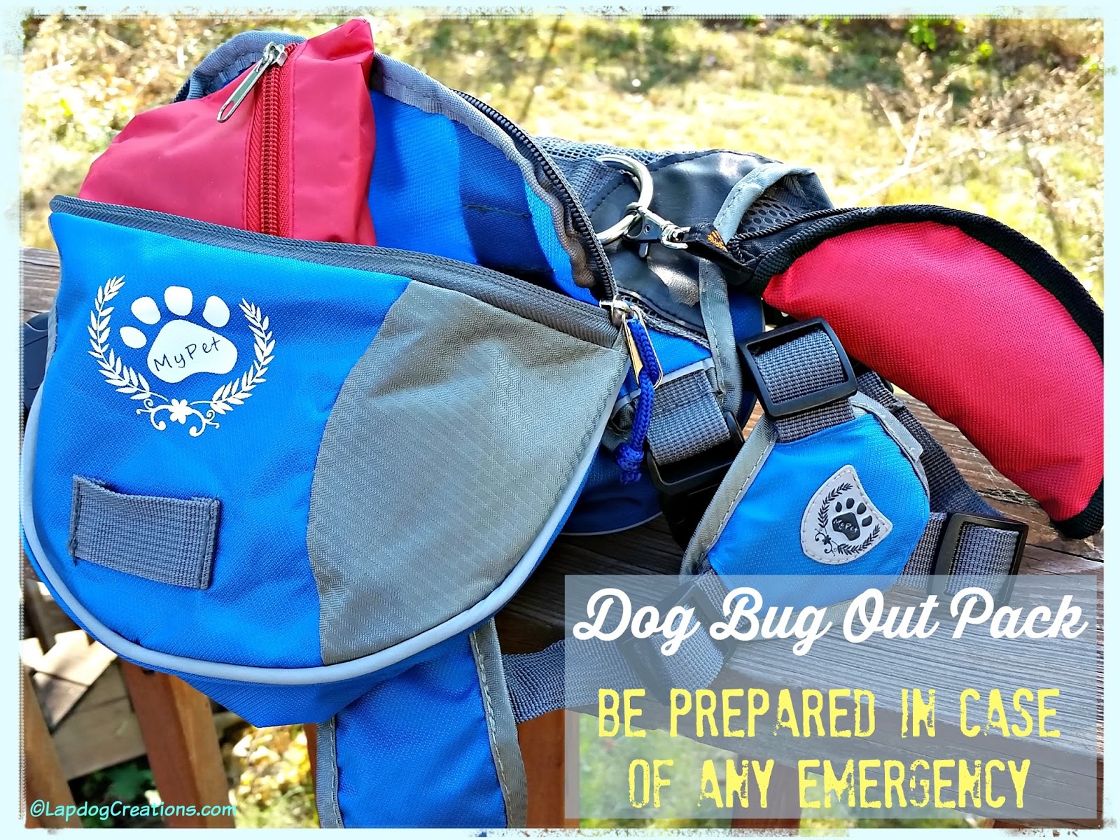 Lapdog Creations: Be Prepared With a Dog Emergency Bug Out Pack + GIVEAWAY