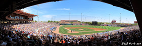 panorama baseball stadium