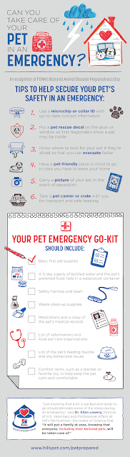 Items that need to go in a pet emergency kit