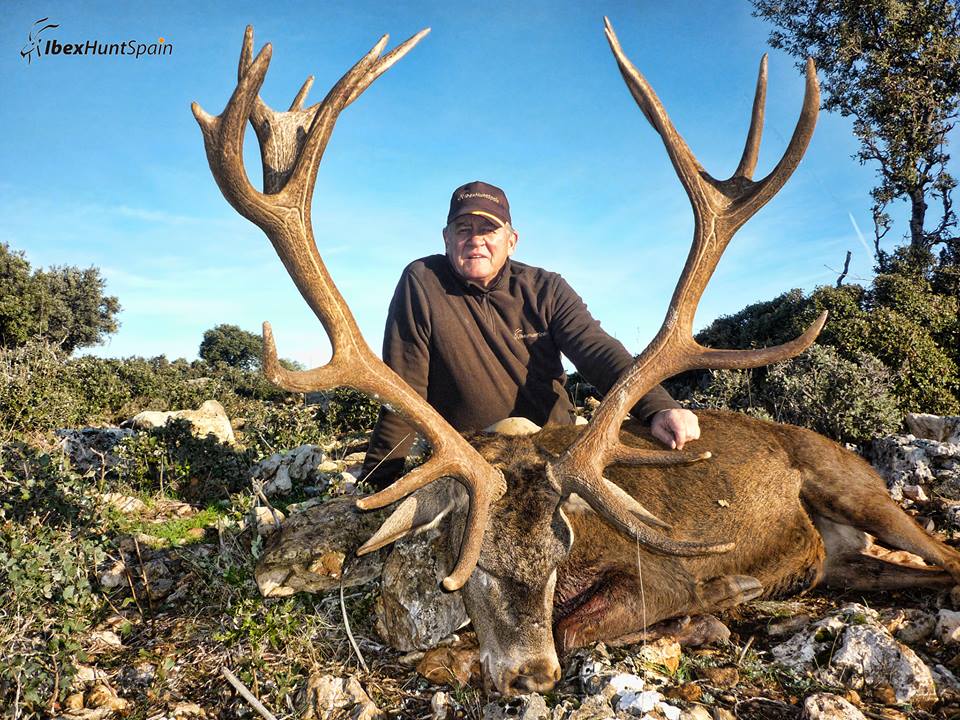 Spanish Ibex Hunts Ibex Hunting in Spain SPANISH