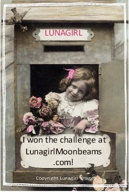 LunaGirl Blog Challenge