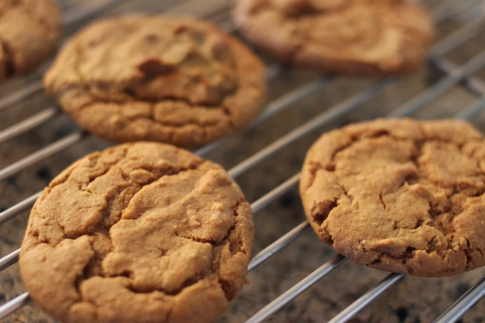 Running Girl Health and Fitness Pumpkin Spice Garbanzo Bean Cookies