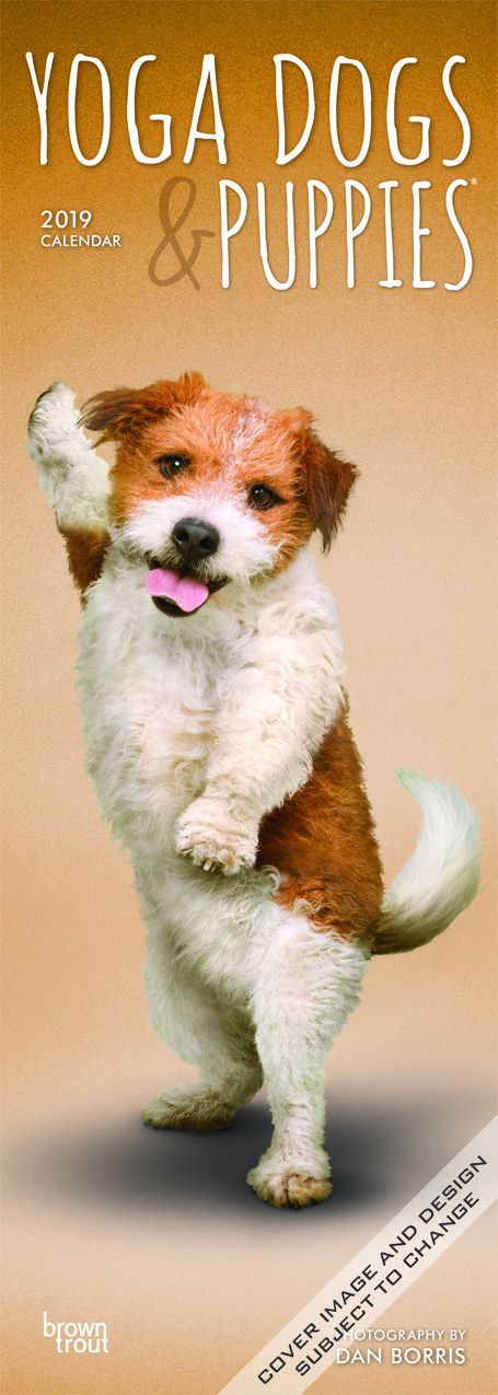 countryfarmgirlsarah countryfarmgirlsarah