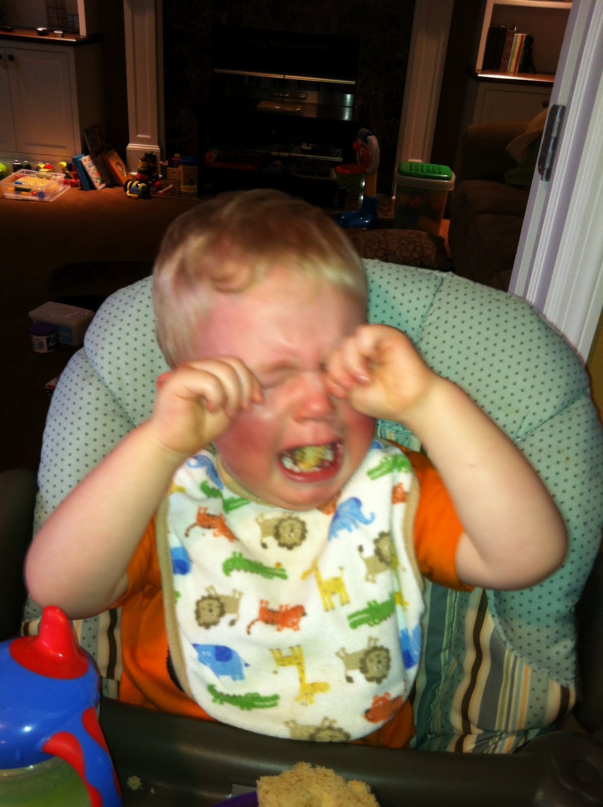 The Elhard's 22 Months And a Temper Tantrum