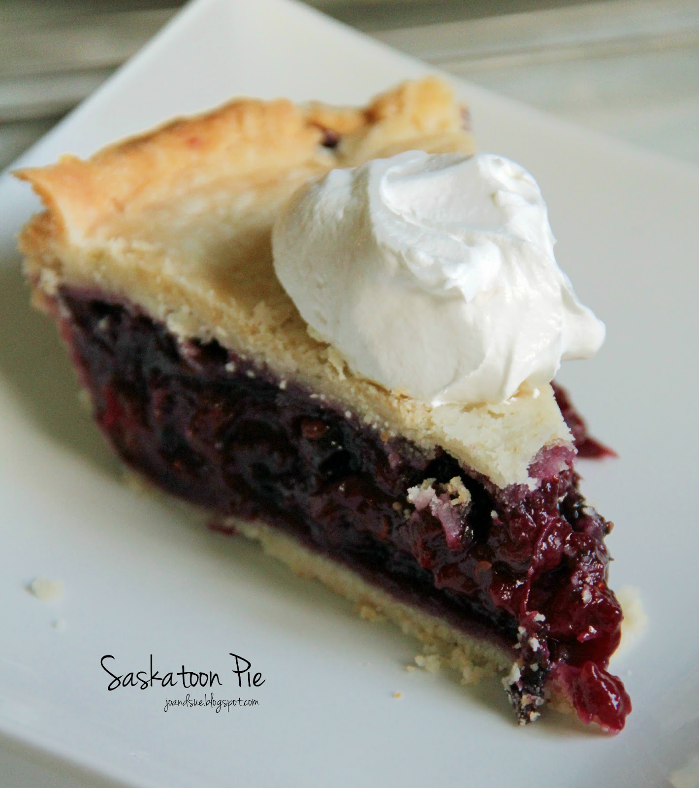 Jo and Sue Saskatoon Pie