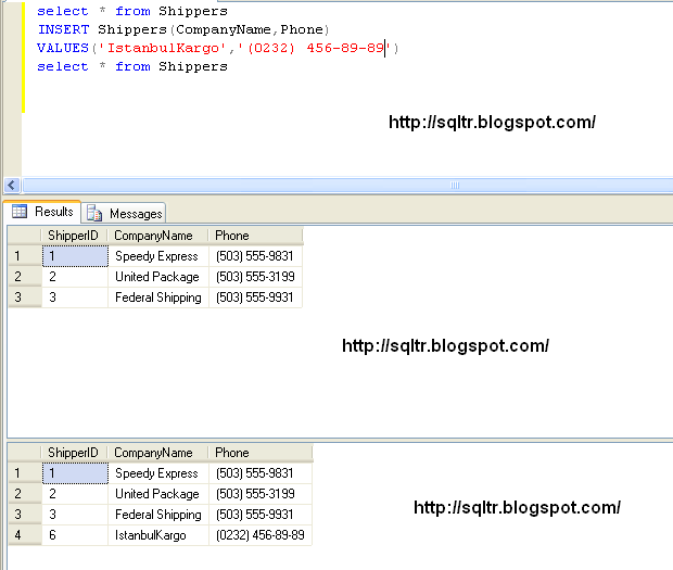 Sql transact sql t rk e kaynak ve uygulamalar 41 sql insert values kullan m 
