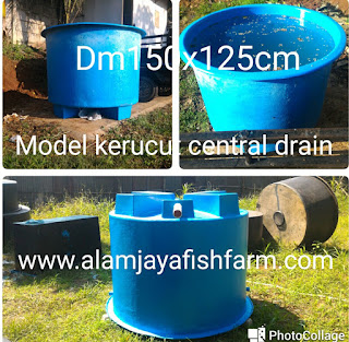 Bak Fiber Kolam Bulat Phytoncatfishfarm