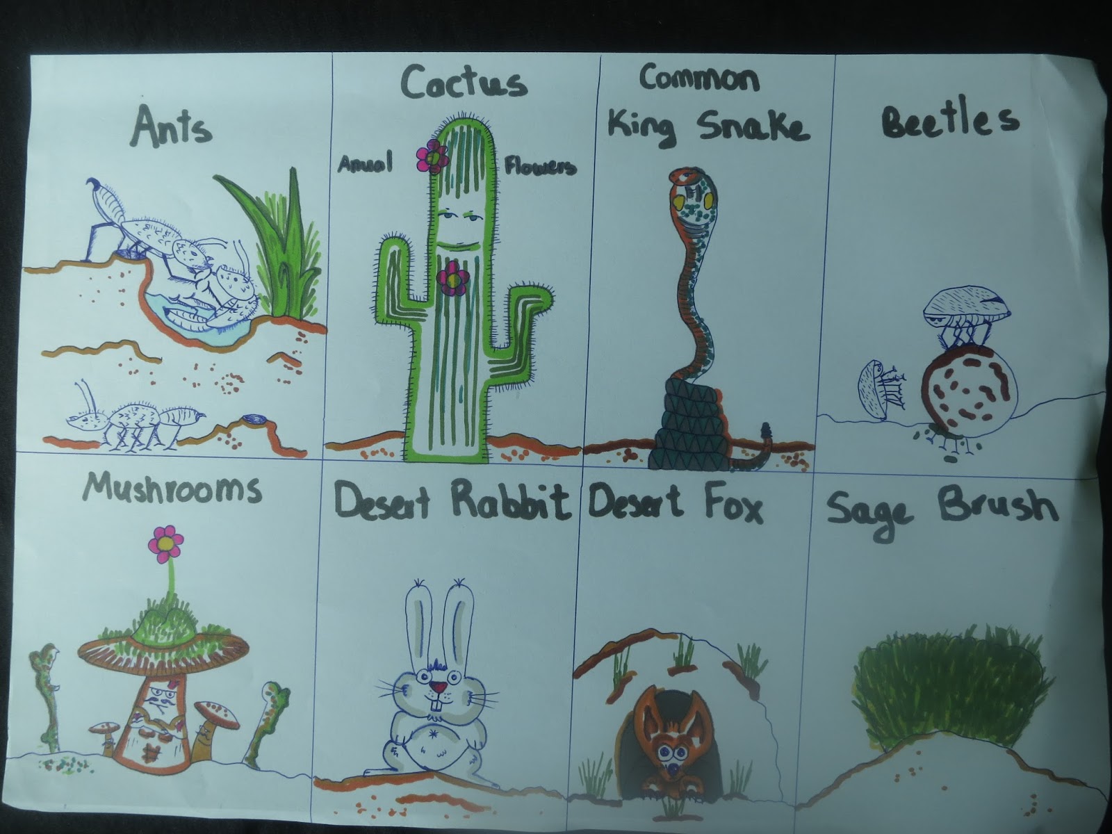 k12 work samples: LIFE SCIENCE