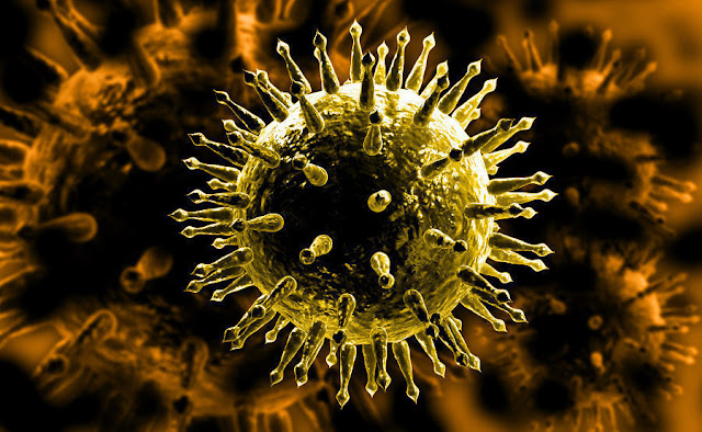 Resultado de imagen para virus mORTALES