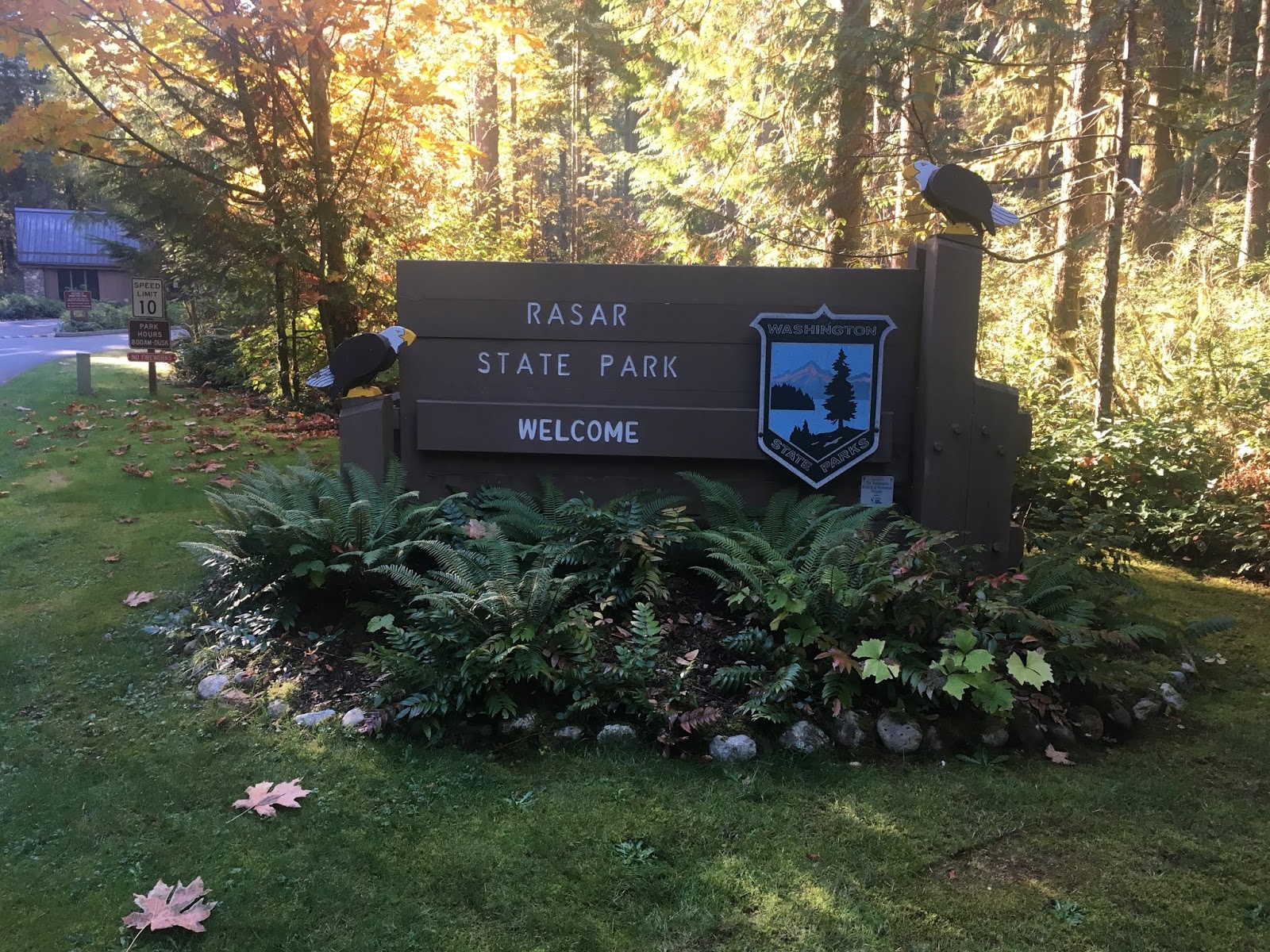 The Adventures of Team WilSun Quick campsite review Rasar State Park Campground, site 43