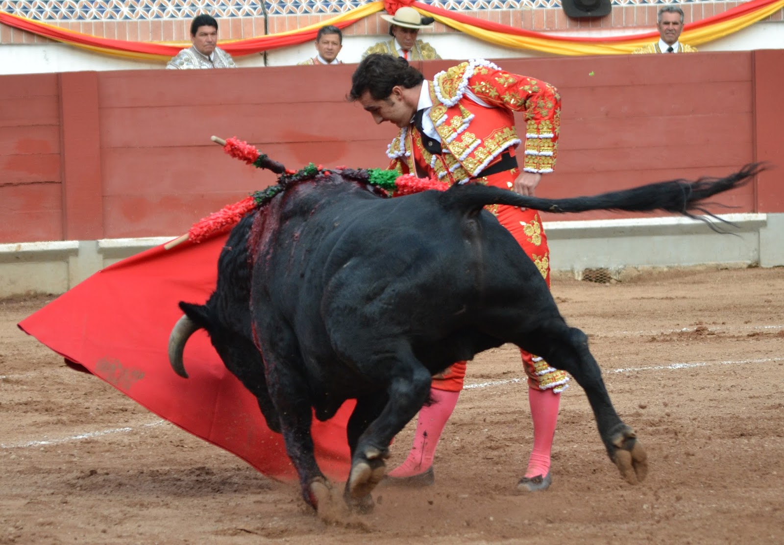 Notiferias Toros en Venezuela y el Mundo EL PERUANO ROCA REY CONSOLIDO