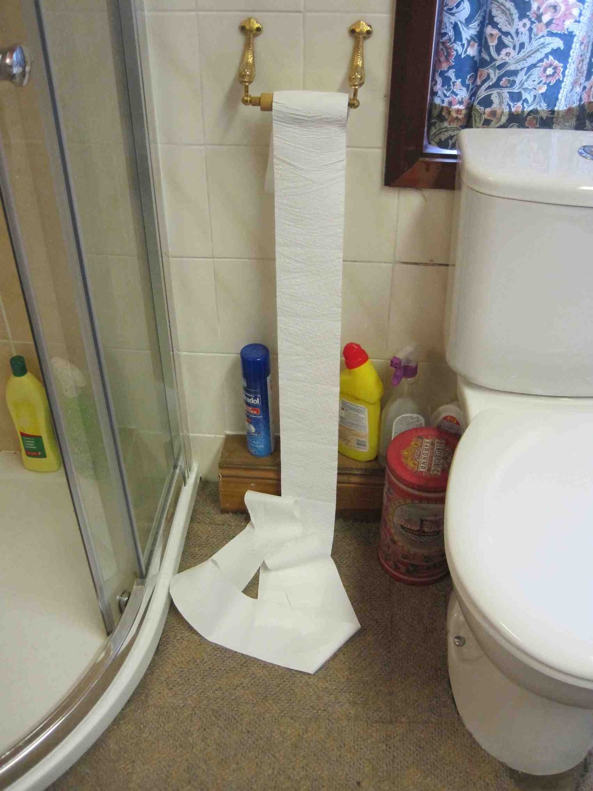 Living in England Toilet paper rolls (literally!)