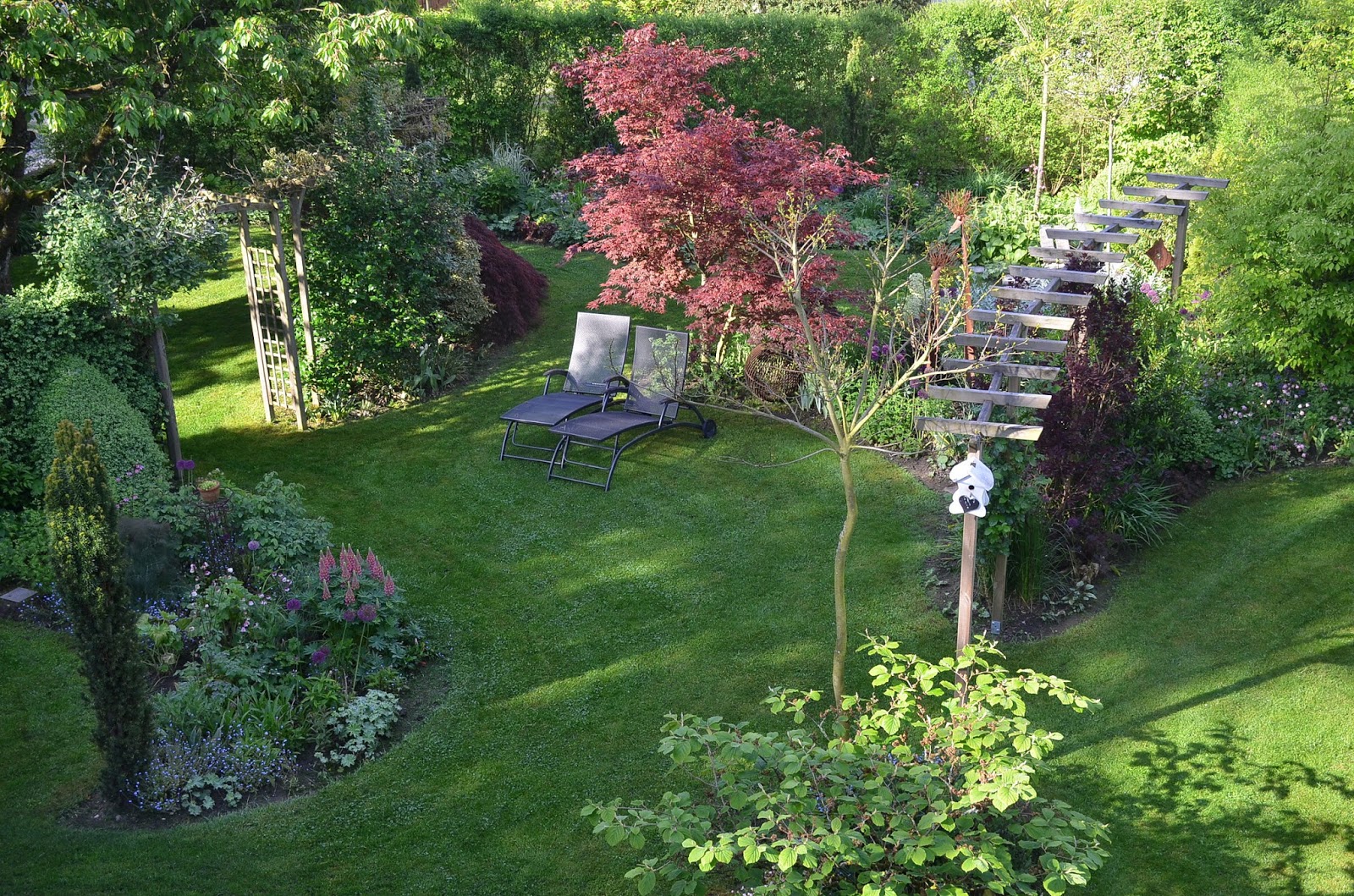 <em>GartenLiebe</em> Sonntags Grüsse aus dem sonnigen Garten