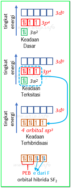 Struktur Lewis Hibridisasi Bentuk Molekul Dan Kepolaran Senyawaan S Dan F Urip Dot Info