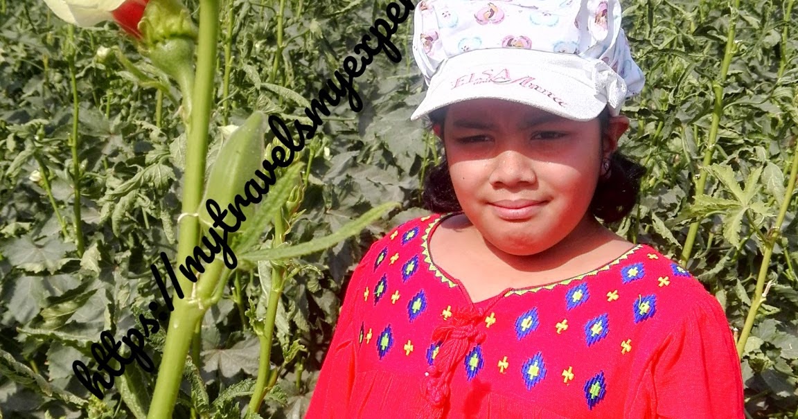 Day Out at Yasmin Farm Wafra Kuwait