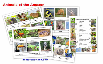 http://homeschoolden.com/2017/05/14/rainforest-unit-50-page-packet/