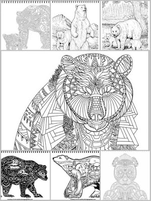 7 bear printable coloring pages for adults