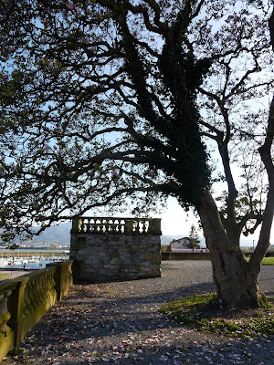 HABITERRA: Paisaje en tu jardín: PARA COMPRENDER EL DISEÑO DE JARDINES