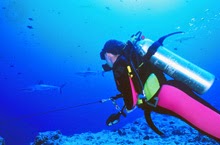 Best Places To Go Scuba Diving On Earth | Blue Corner - Scuba Diving Palau Micronesia Best Places To Go Scuba Diving On Earth | Blue Corner - Scuba Diving Palau Micronesia