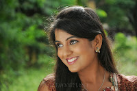 Ak Rao Pk Rao Heroine Shruti Latest Photo Shoot TollywoodBlog.com