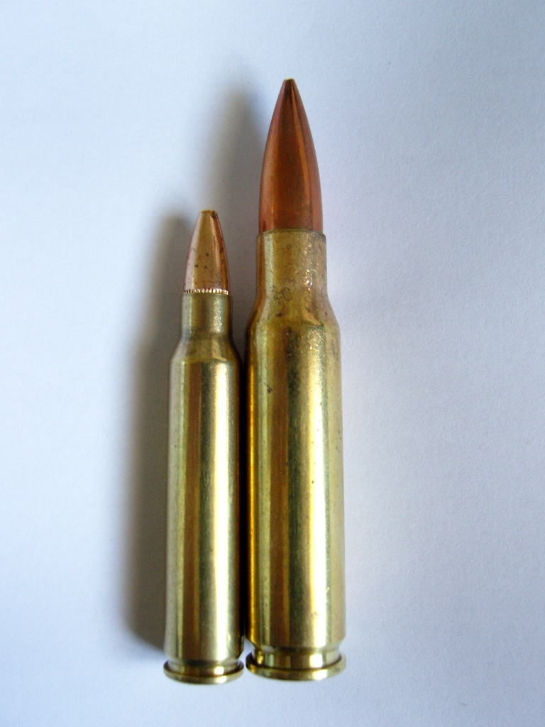 The 5.56x45mm round shot by the M16 (left) next to the 7.62x51mm shot by th...