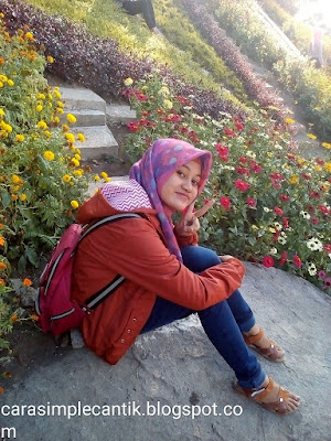 Blog fakta unik absurd Blog fakta unik absurd