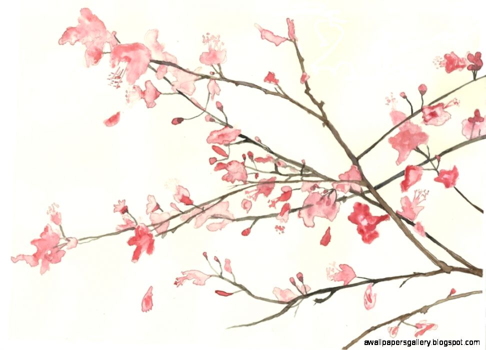 Cherry Blossom Painting Wallpaper Wallpaper  Quote for Every Needs