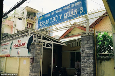 Top 5 phòng khám thú y uy tín Quận 3- Hồ Chí Minh 2 phòng khám thú y uy tín Quận 3- Hồ Chí Minh