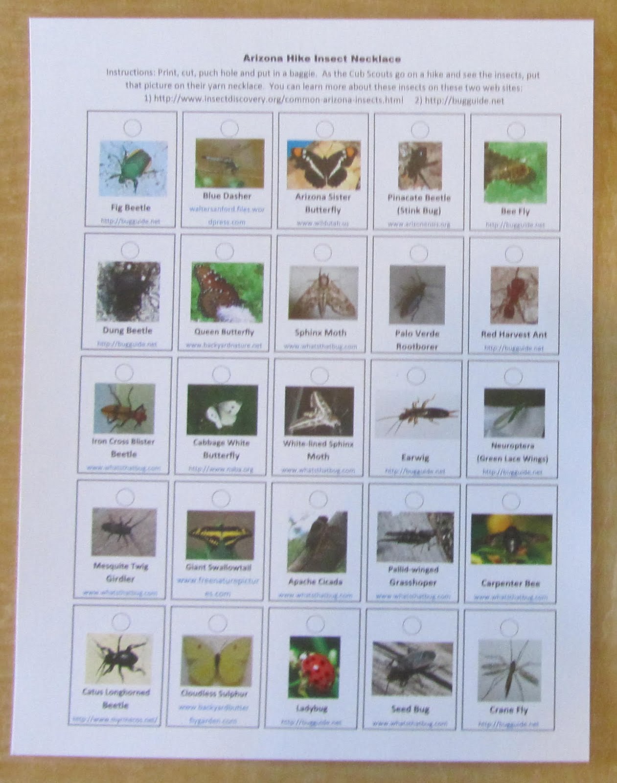 Agave District Cub Scout Roundtable: #1 Kind/Creepy Crawlers/Cub Scout ...