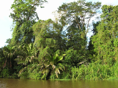 Parque Nacional Tortuguero, Costa Rica, vuelta al mundo, round the world, La vuelta al mundo de Asun y Ricardo, mundoporlibre.com